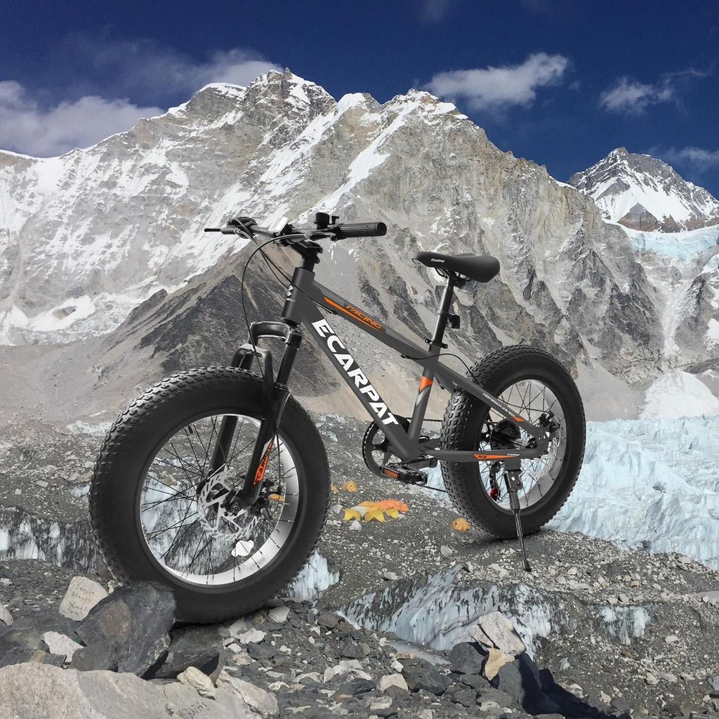 20x4 Inch Fat Tire Mountain Bike,Dual Disc Brakes Suspension Fork, 7-Speed Boys Girls Mountain Bikes, All Terrain Kids Mountain Bikes for Boys and Girls 8-15 Years Old
